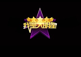 我是大明星電視欄目主題字