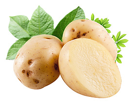 土豆元素