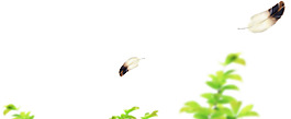 清新素材