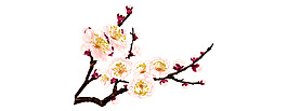 梨花元素