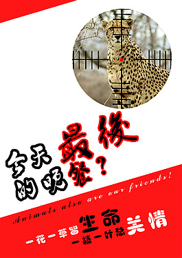 保護動物