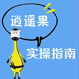 實操指南