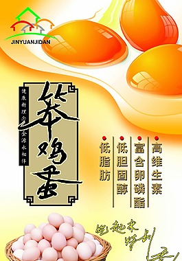 笨雞蛋