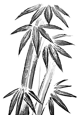 水墨竹子紋樣黑白