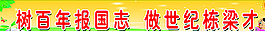 校园文化图片