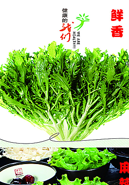 麻辣燙寫真圖片