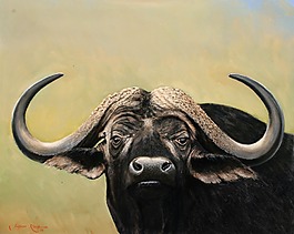 動物 裝飾畫 高清素材