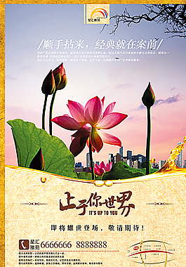 荷花宣傳單張圖片