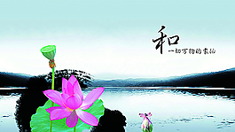 荷塘夜色圖片