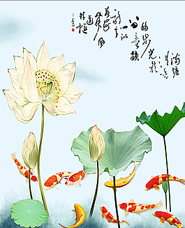 荷花錦鯉圖片