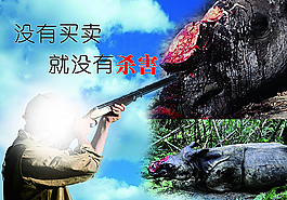 保護(hù)動(dòng)物海報(bào)圖片