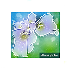 彩色花紋背景圖片