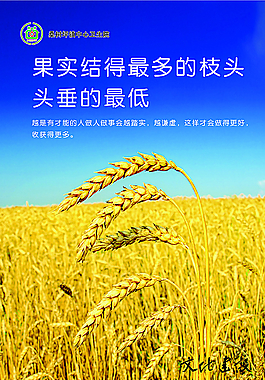 企业展板图片