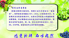 葡萄圖片