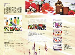 折頁-背轉曲