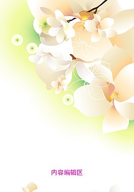 精美玉兰花展架设计海报素材模板画面