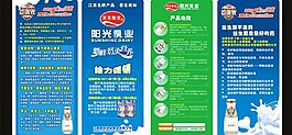 陽光牛奶折頁圖片