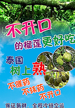 泰國榴蓮圖片