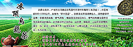 茶藝 凍頂烏龍茶圖片
