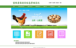 網(wǎng)站首頁(yè)圖片
