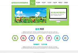 網(wǎng)站首頁圖片