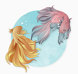 2條彩繪金魚