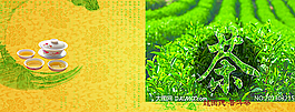 茶畫冊圖片
