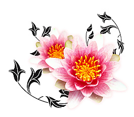 彩色花朵素材