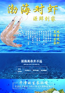 對蝦詳情頁