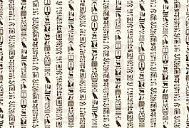 甲骨文