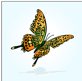 矢量蝴蝶圖片