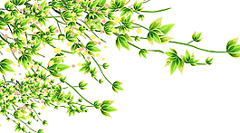 樹(shù)葉花朵矢量素材圖片