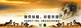 企业荣誉图片
