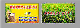 賣大米名片圖片