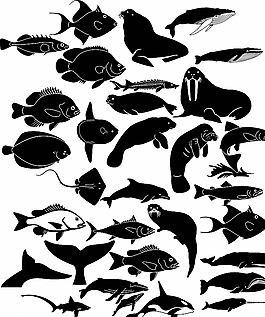 海洋生物剪影圖片