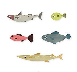 5款精美海洋魚