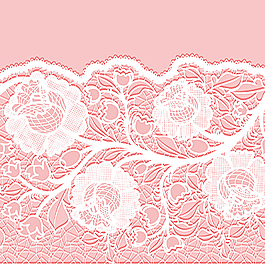 花朵蕾丝图片