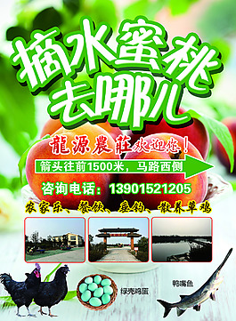 活动宣传展板