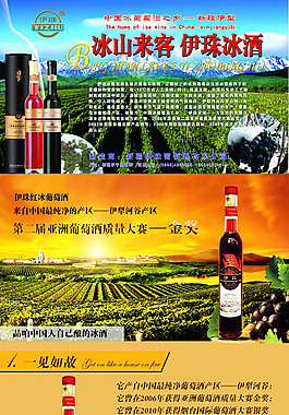 伊珠  葡萄酒 詳情頁(yè)