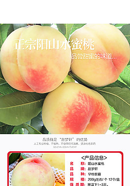 水蜜桃詳情
