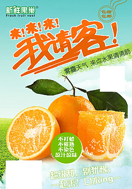 赣南脐橙