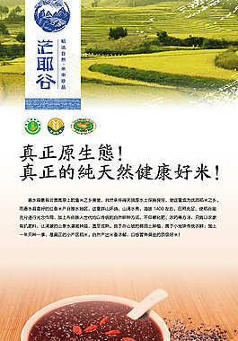 健康好米糧食海報