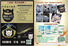 面膜彩頁源文件