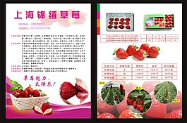 草莓传单