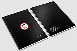 簡約大氣畫冊封面