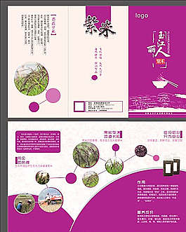 紫米三折頁圖片