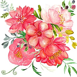 水彩花卉免摳PNG素材淡雅唯美花朵葉子