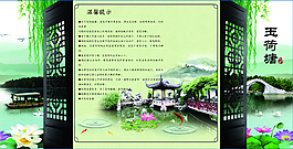 荷花 荷塘