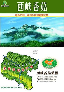 河南西峽香菇