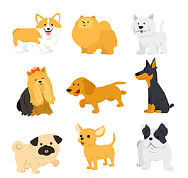 9款可愛寵物犬矢量素材